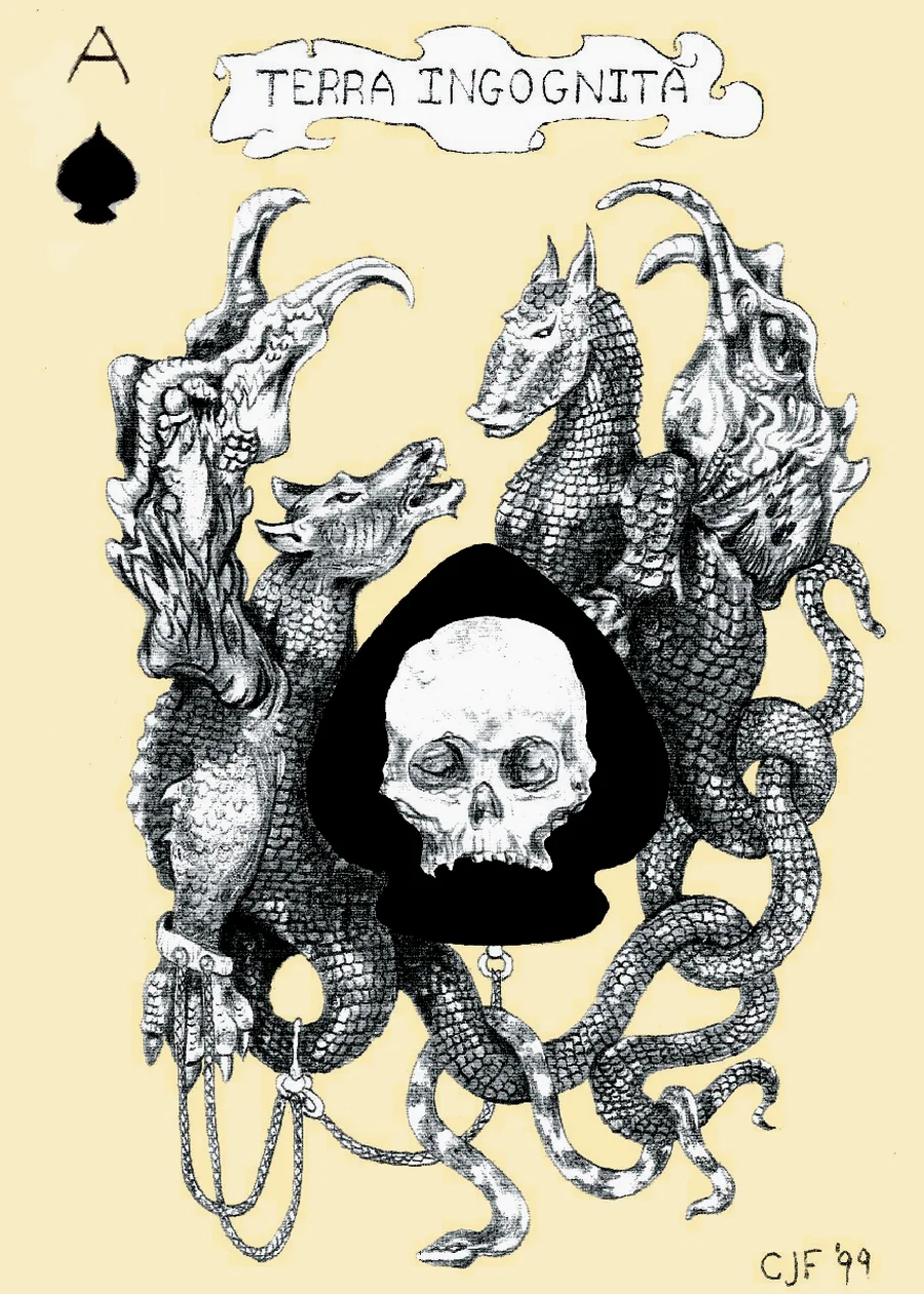 Ace of Spades — Terra Incognita from the Playing Card Oracles deck